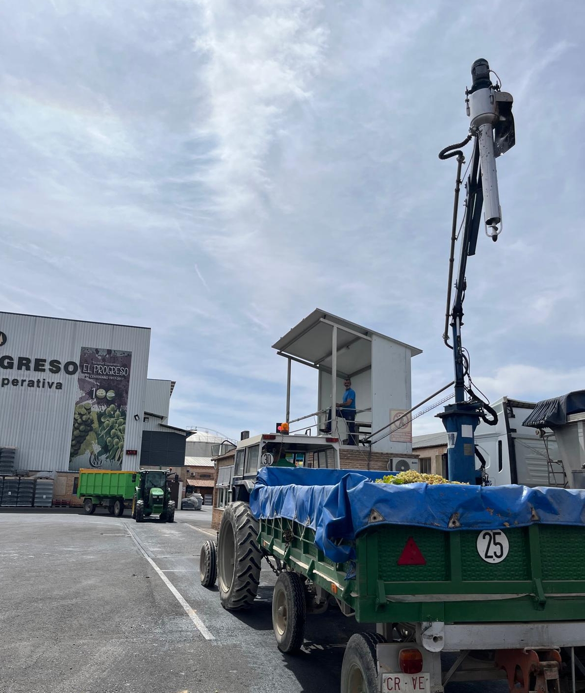 Generalizamos la vendimia, con la recogida de la uva Airén, cuya cosecha está siendo más baja de lo esperado  